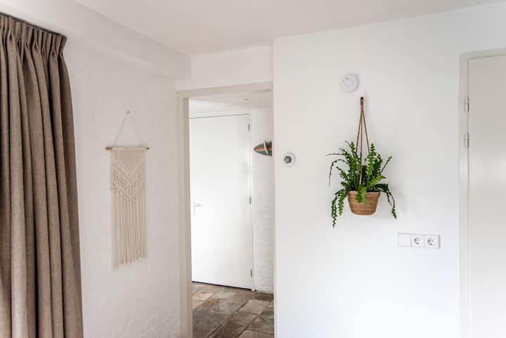 Hallway with macrame and hanging plant