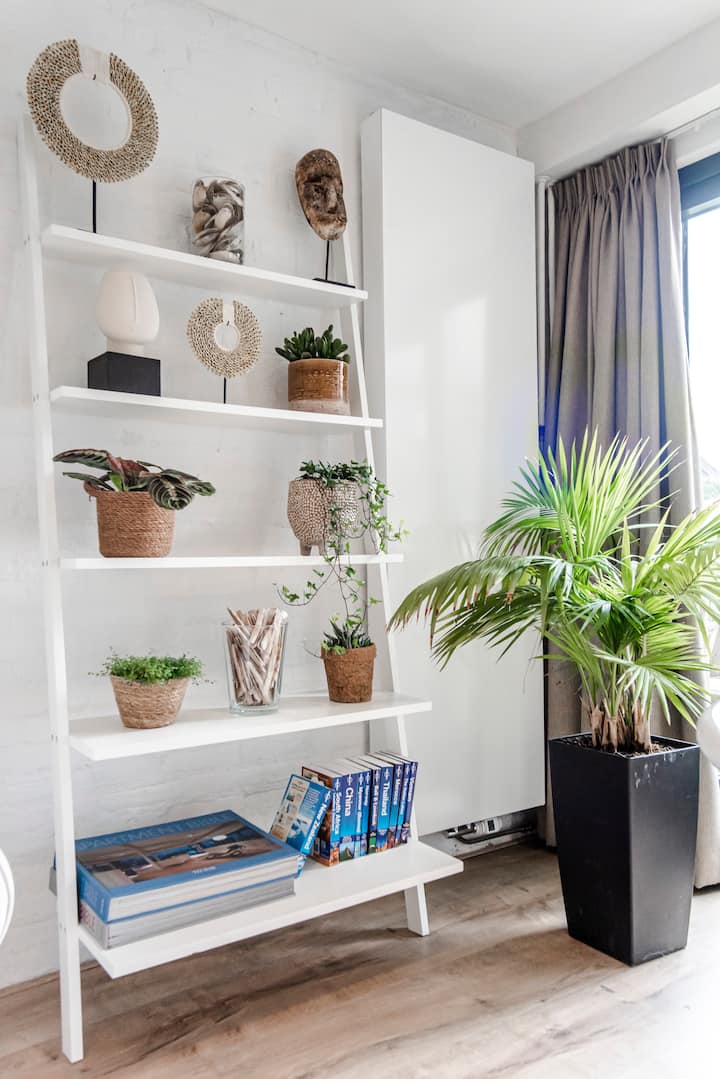 Decorative shelf with plants and travel books